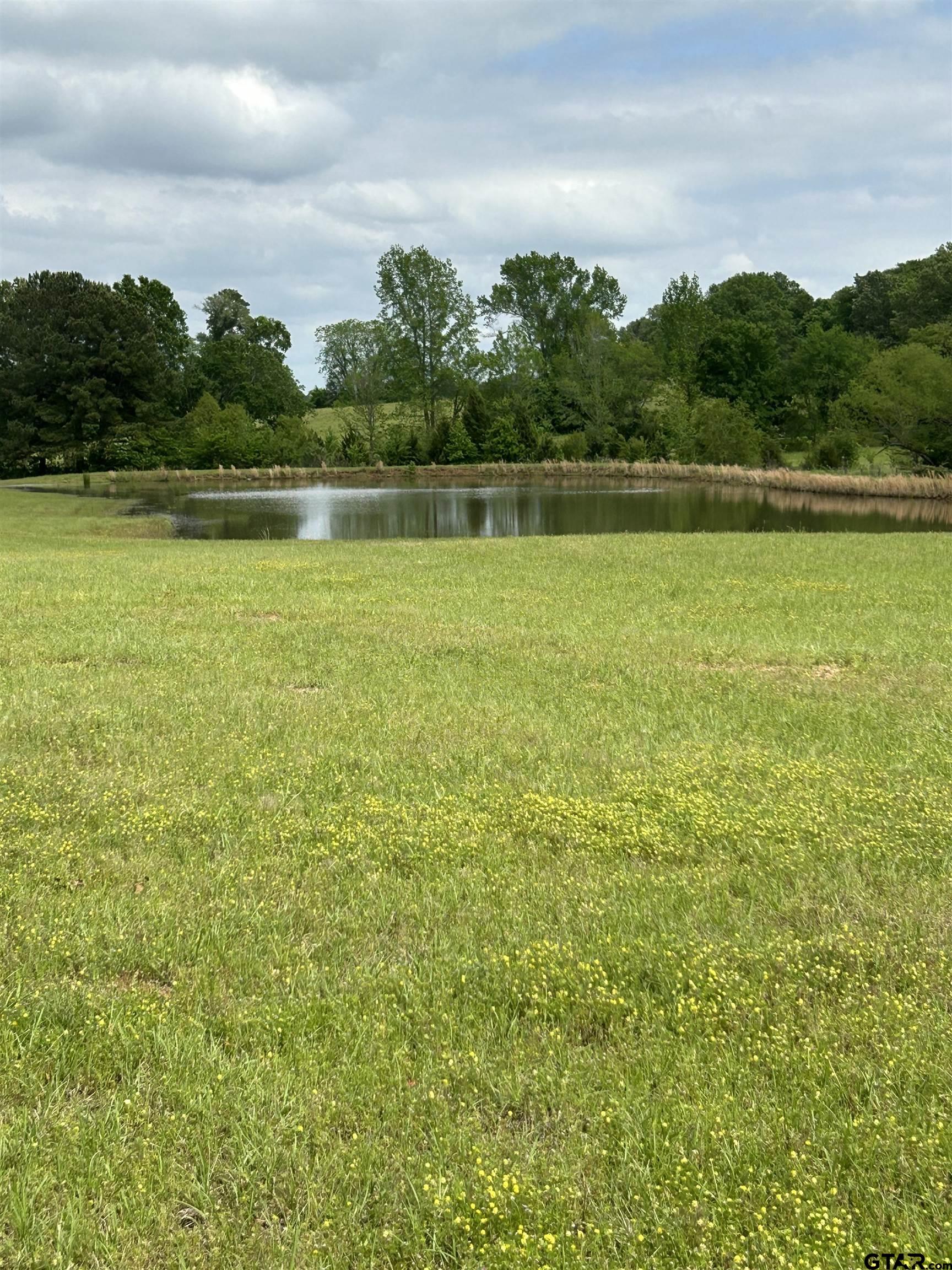 8499 Fm 856 Street Troup, TX 75789 - Photo 47 of 47 a view of a lake view