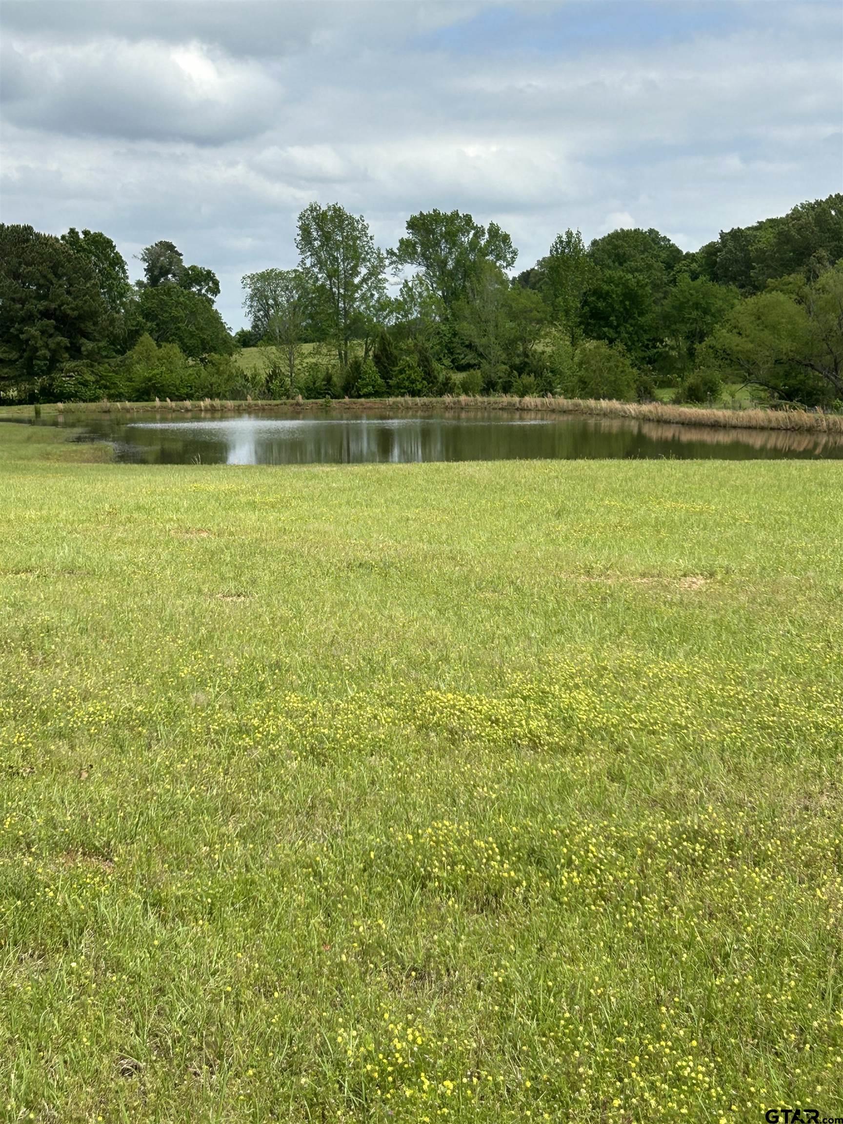 8499 Fm 856 Street Troup, TX 75789 - Photo 5 of 47 a view of a lake with houses in the back