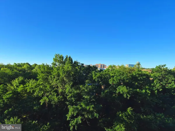 $2,800 | 3705 South George Mason Drive, Unit 709S, Falls Church, VA 22041
