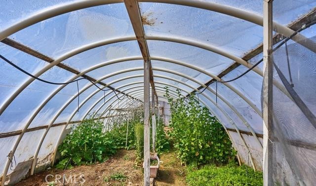 9562 Cambria Road Phelan, CA 92371 - Photo 47 of 55 Green House.