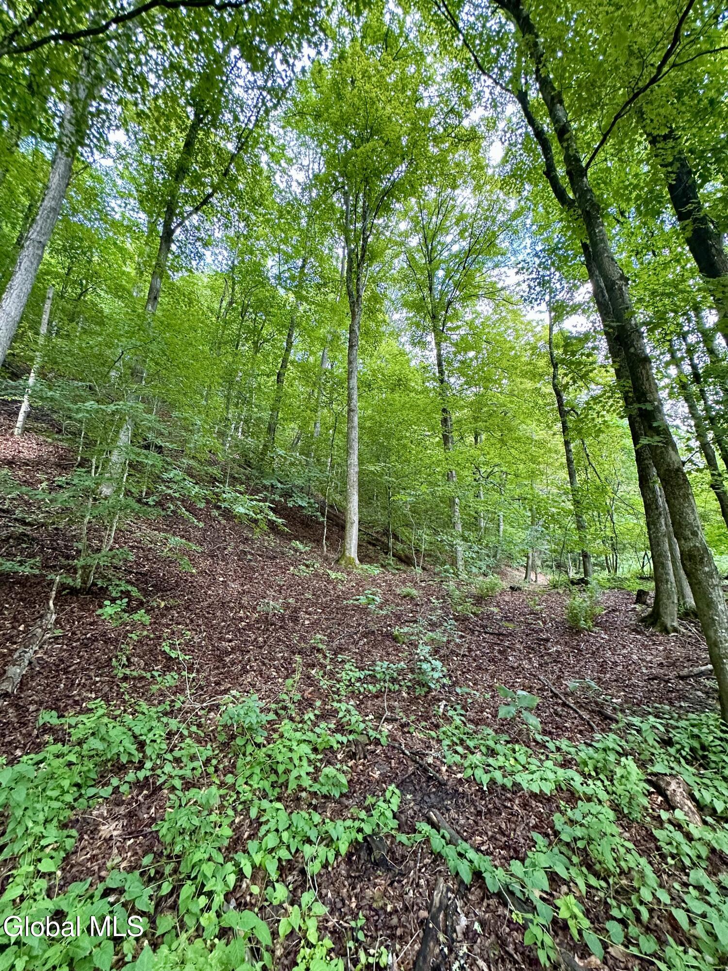 1166 Hauverville Road Middleburgh, NY 12122 - Photo 11 of 16 IMG_6107