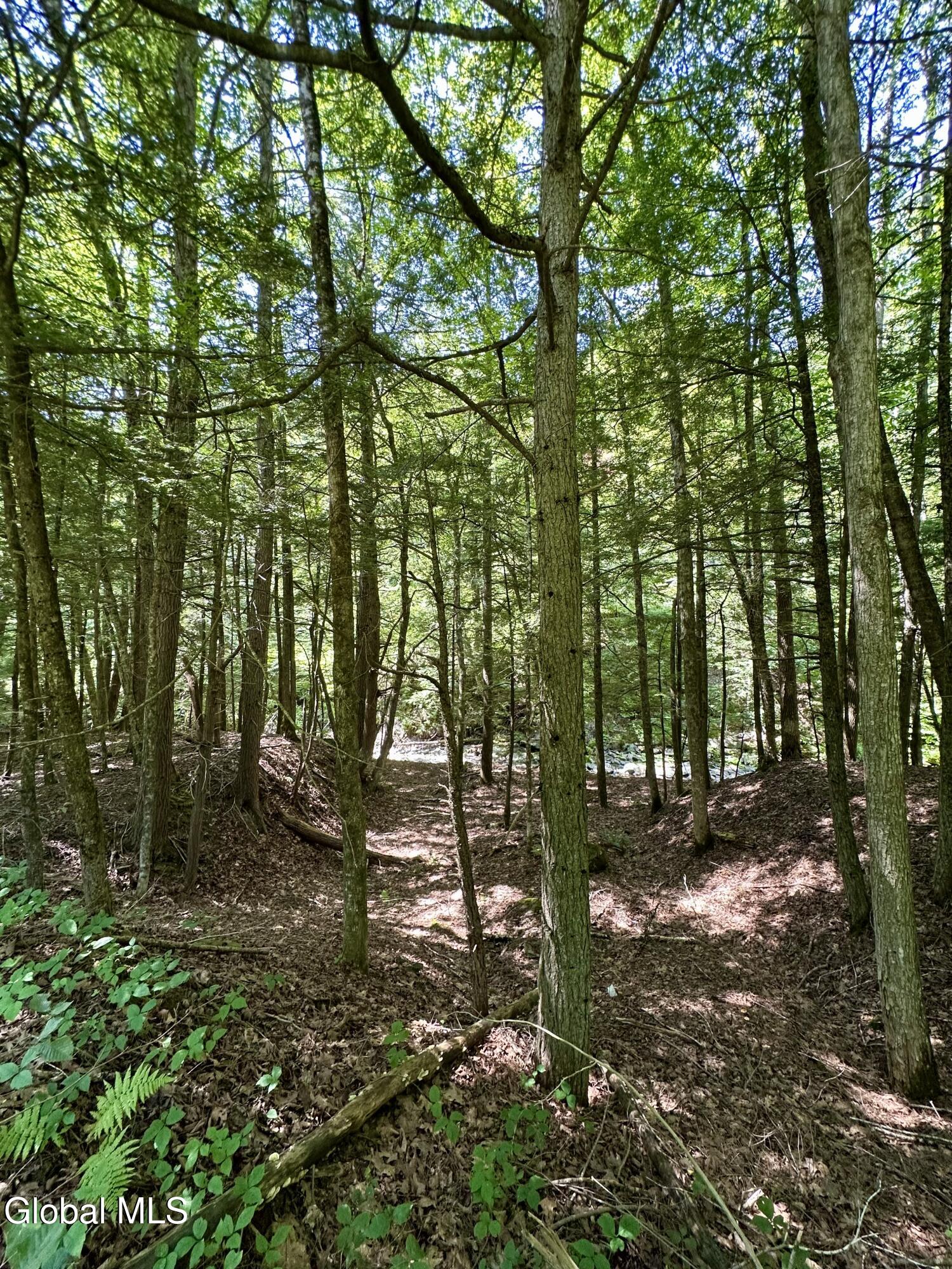 1166 Hauverville Road Middleburgh, NY 12122 - Photo 12 of 16 IMG_6124