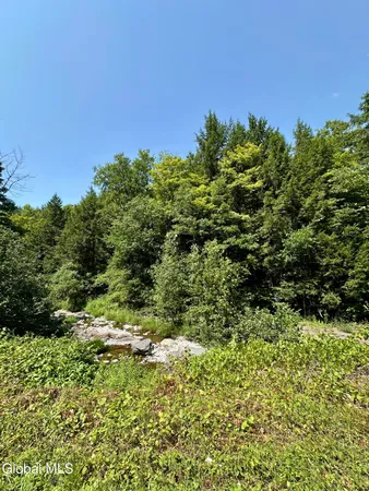 $119,900 | 1166 Hauverville Road, Middleburgh, NY 12122