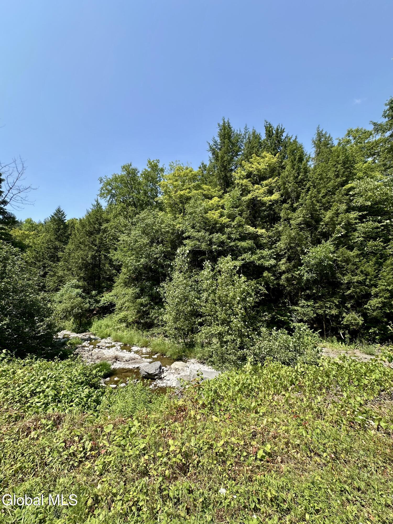 1166 Hauverville Road Middleburgh, NY 12122 - Photo 13 of 16 IMG_6125