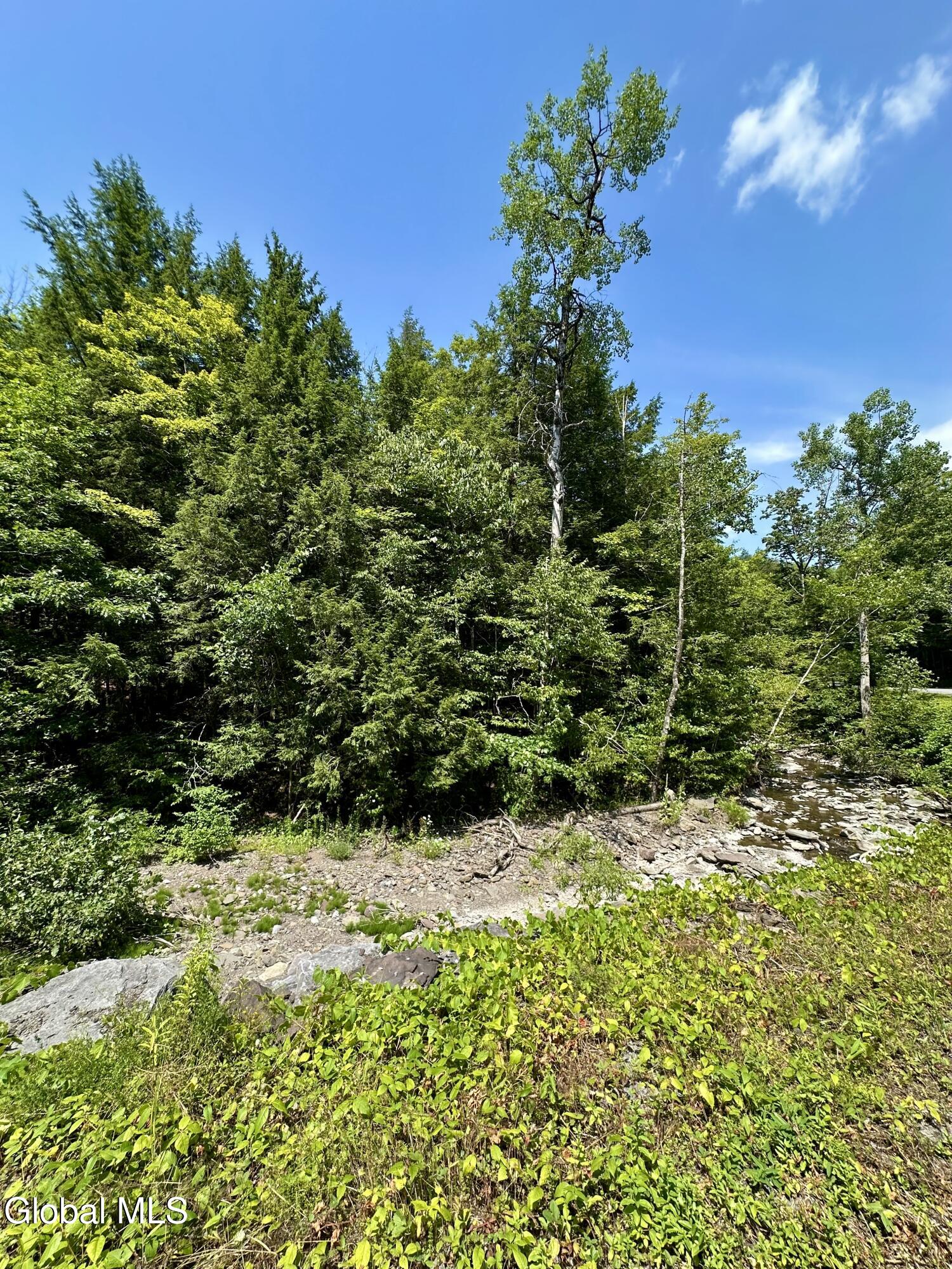 1166 Hauverville Road Middleburgh, NY 12122 - Photo 14 of 16 IMG_6126