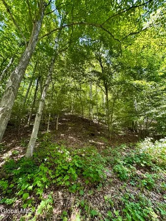 $119,900 | 1166 Hauverville Road, Middleburgh, NY 12122