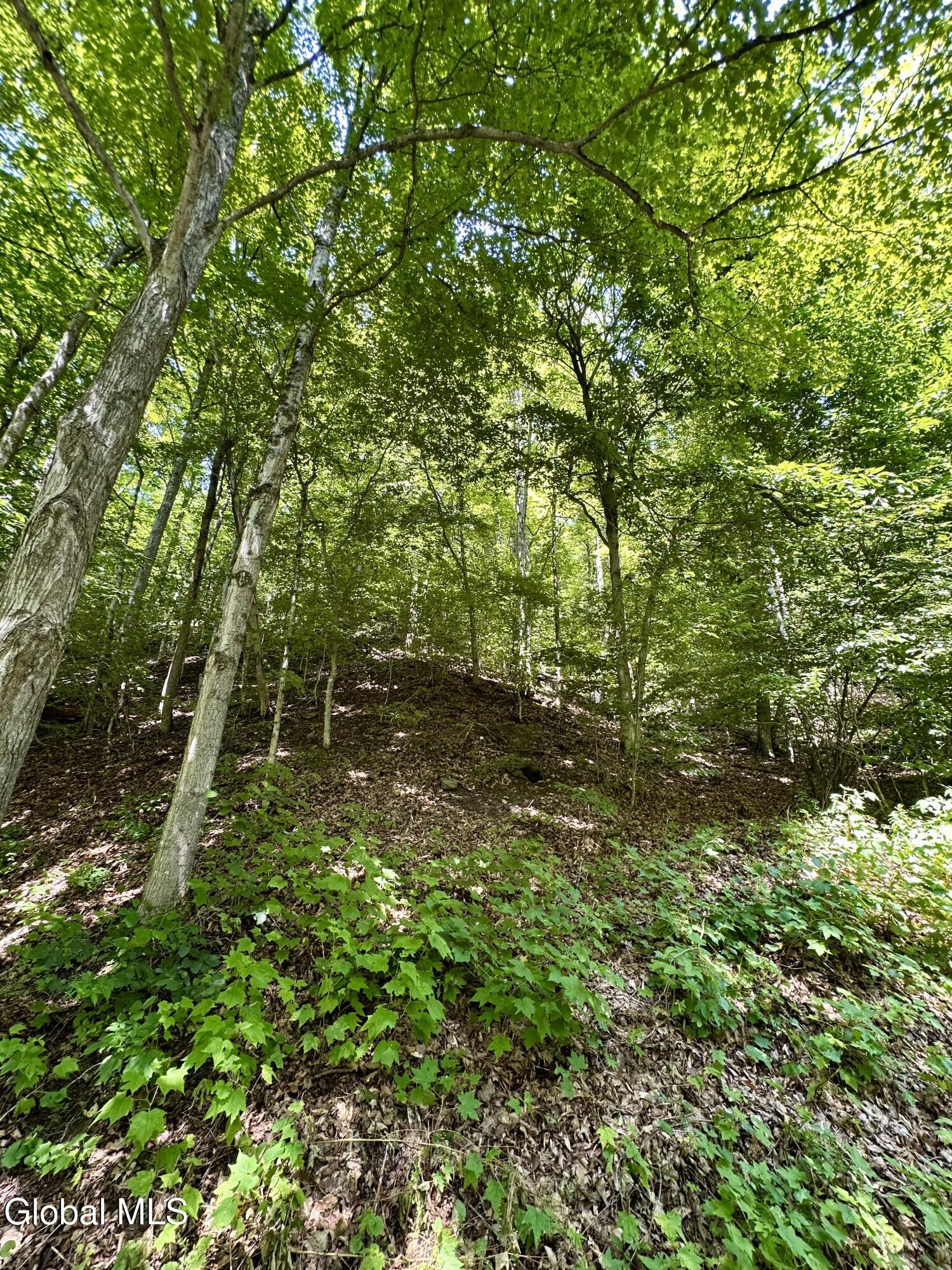 1166 Hauverville Road Middleburgh, NY 12122 - Photo 15 of 16 IMG_6127