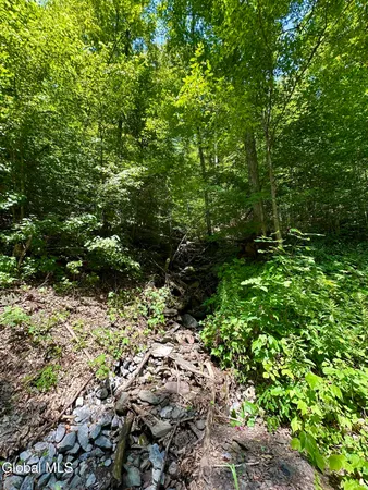 $119,900 | 1166 Hauverville Road, Middleburgh, NY 12122