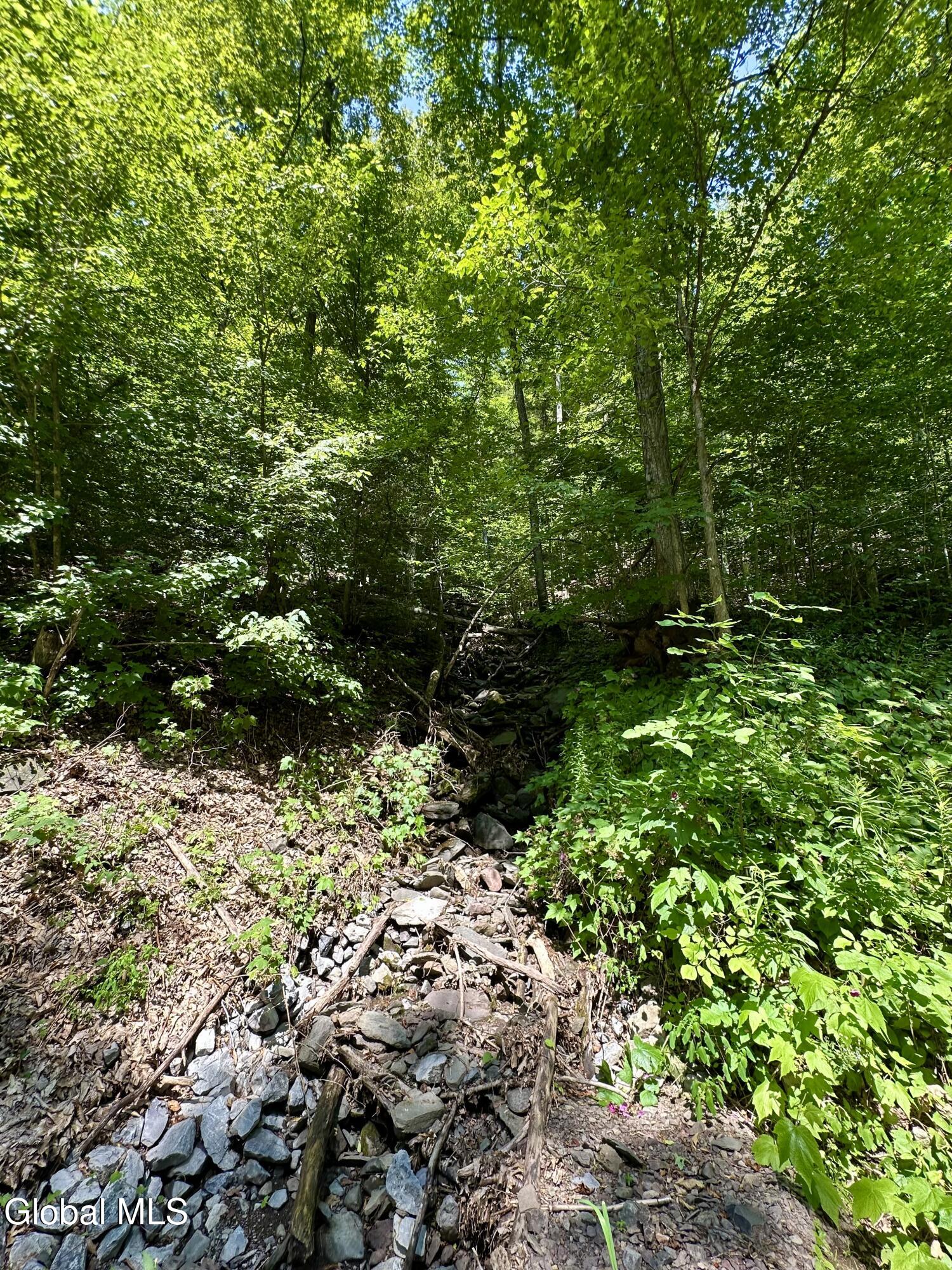 1166 Hauverville Road Middleburgh, NY 12122 - Photo 16 of 16 IMG_6128