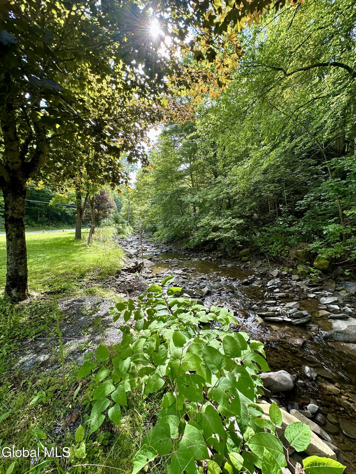 1166 Hauverville Road Middleburgh, NY 12122 - Photo 4 of 16 IMG_5984