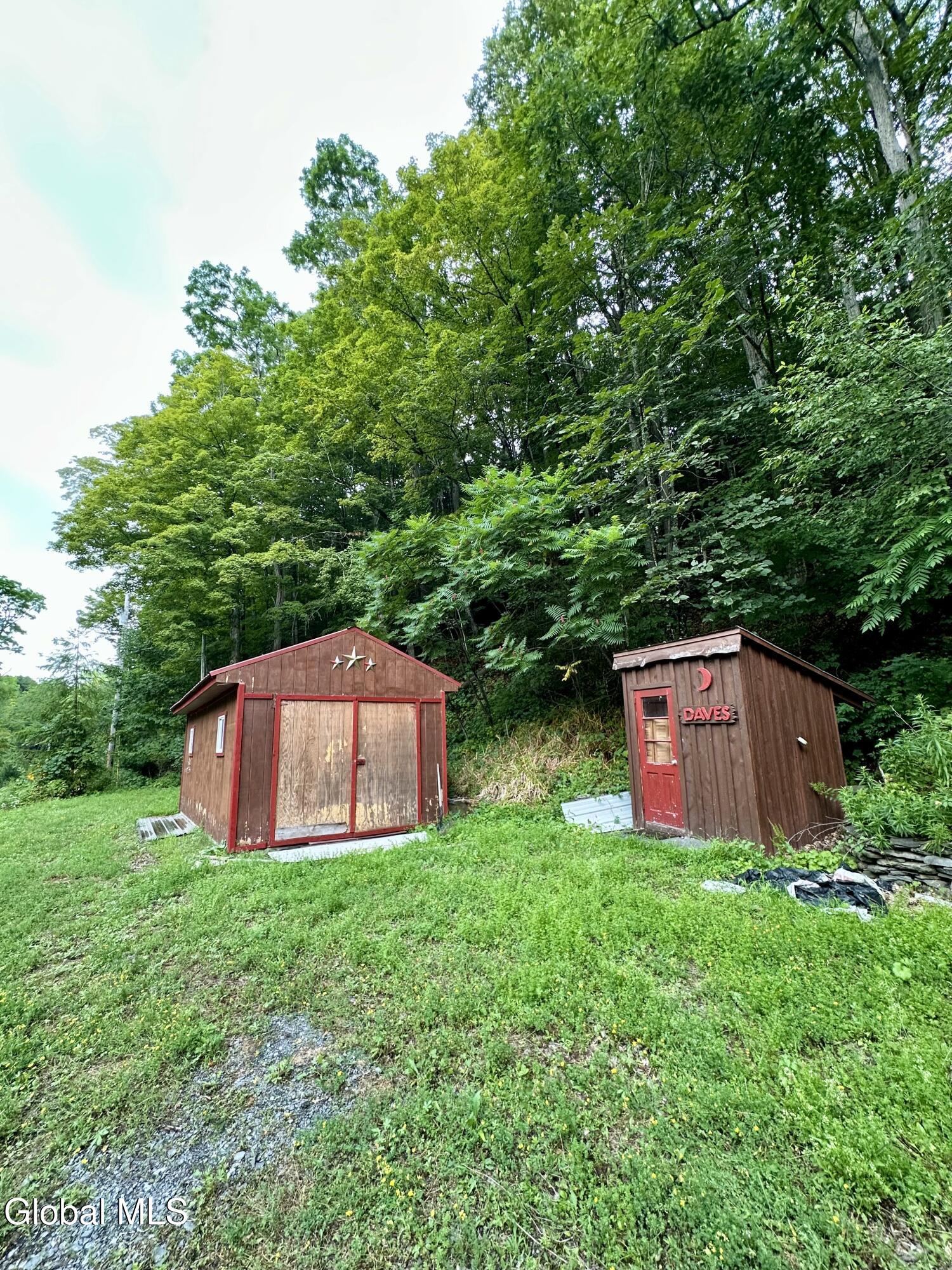 1166 Hauverville Road Middleburgh, NY 12122 - Photo 9 of 16 IMG_6109