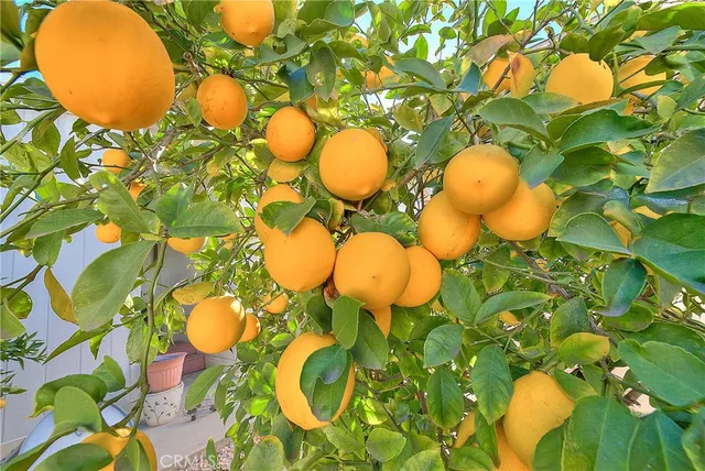 a view of a swimming pool with outdoor seating