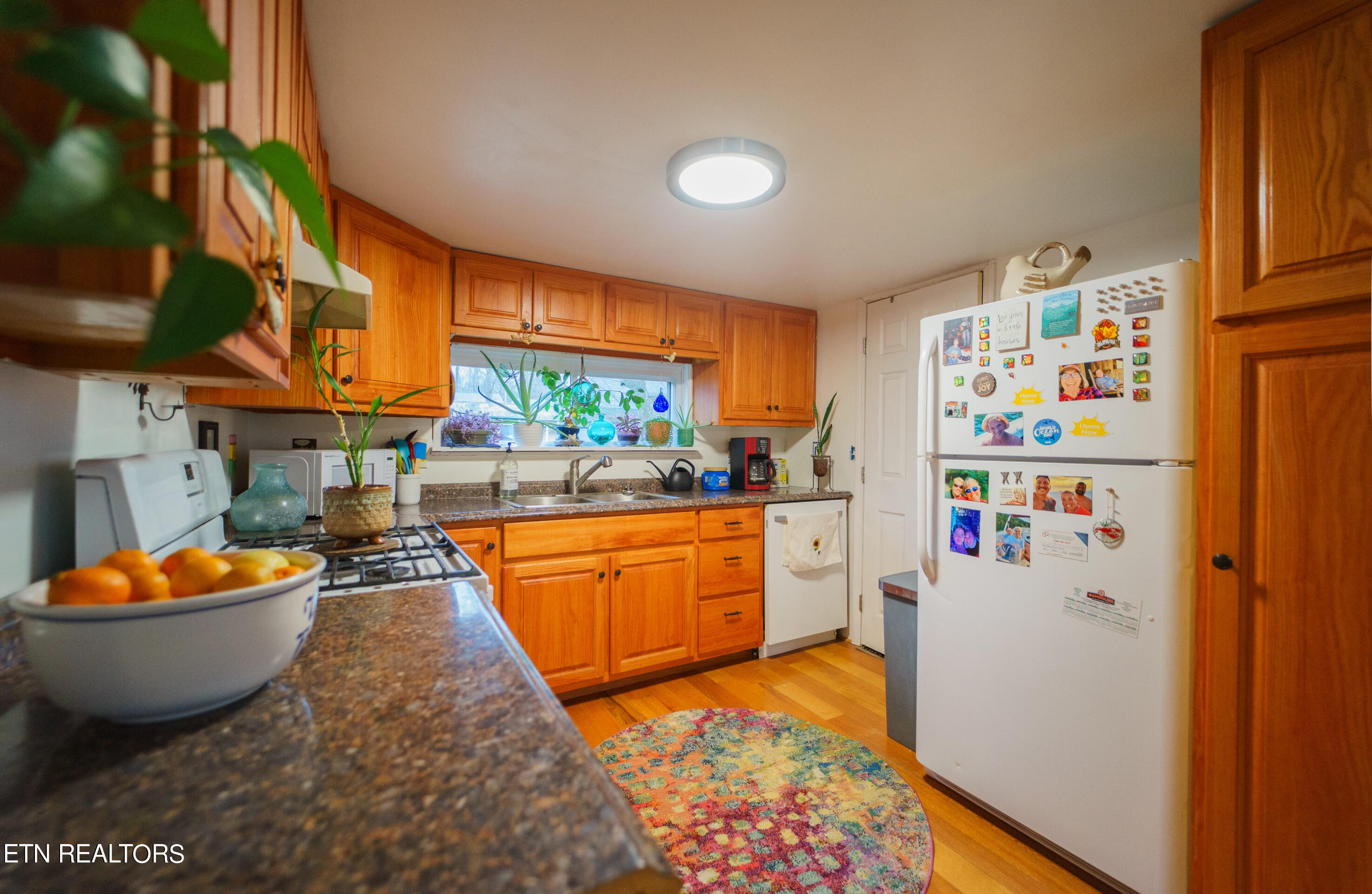 162 Johnson Road Oak Ridge, TN 37830 - Photo 10 of 14 DSC01798