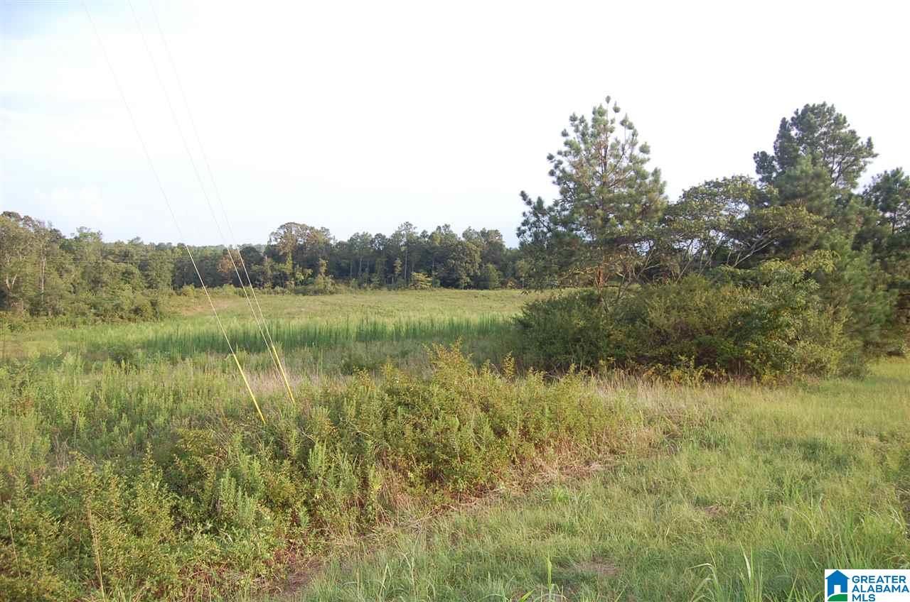 16 County Road, Unit 90 Maplesville, AL 36750 - Photo 13 of 15