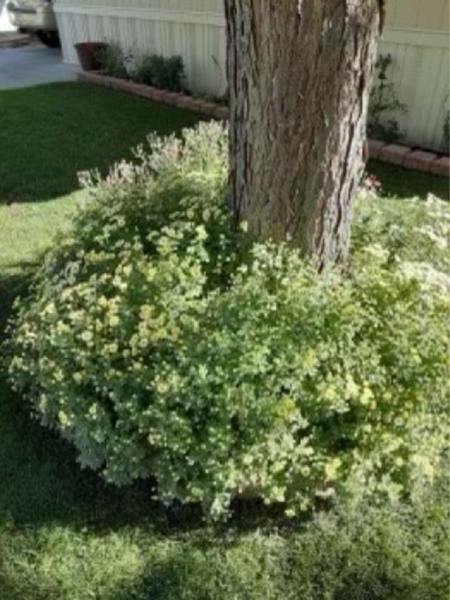 435 32 Road, Unit 221 Clifton, CO 81520 - Photo 26 of 29