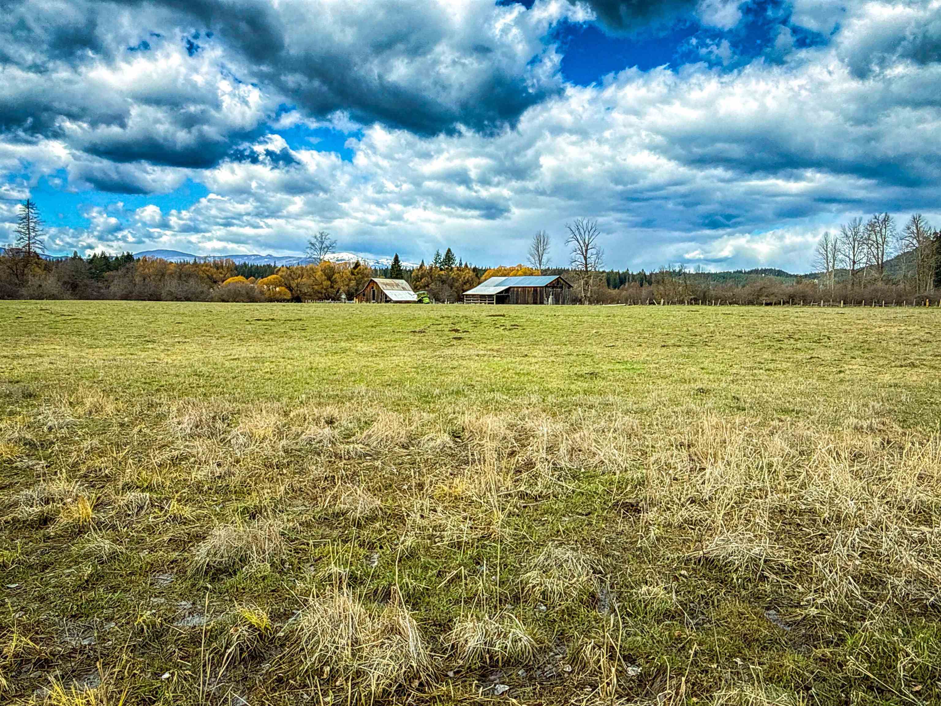 901 Skookum Creek Road Usk, WA 99180 - Photo 19 of 50