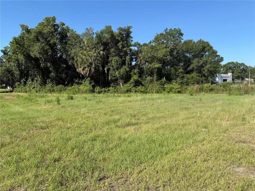 Dossey Road South Lakeland, FL 33811 - Photo 1 of 10 a view of a green yard