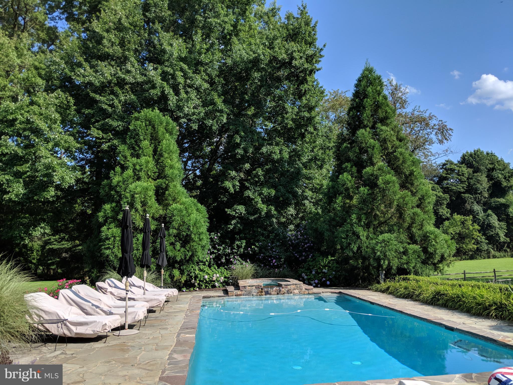 3088 Street Road, Unit B4 Doylestown, PA 18902 - Photo 6 of 12 Pool Area