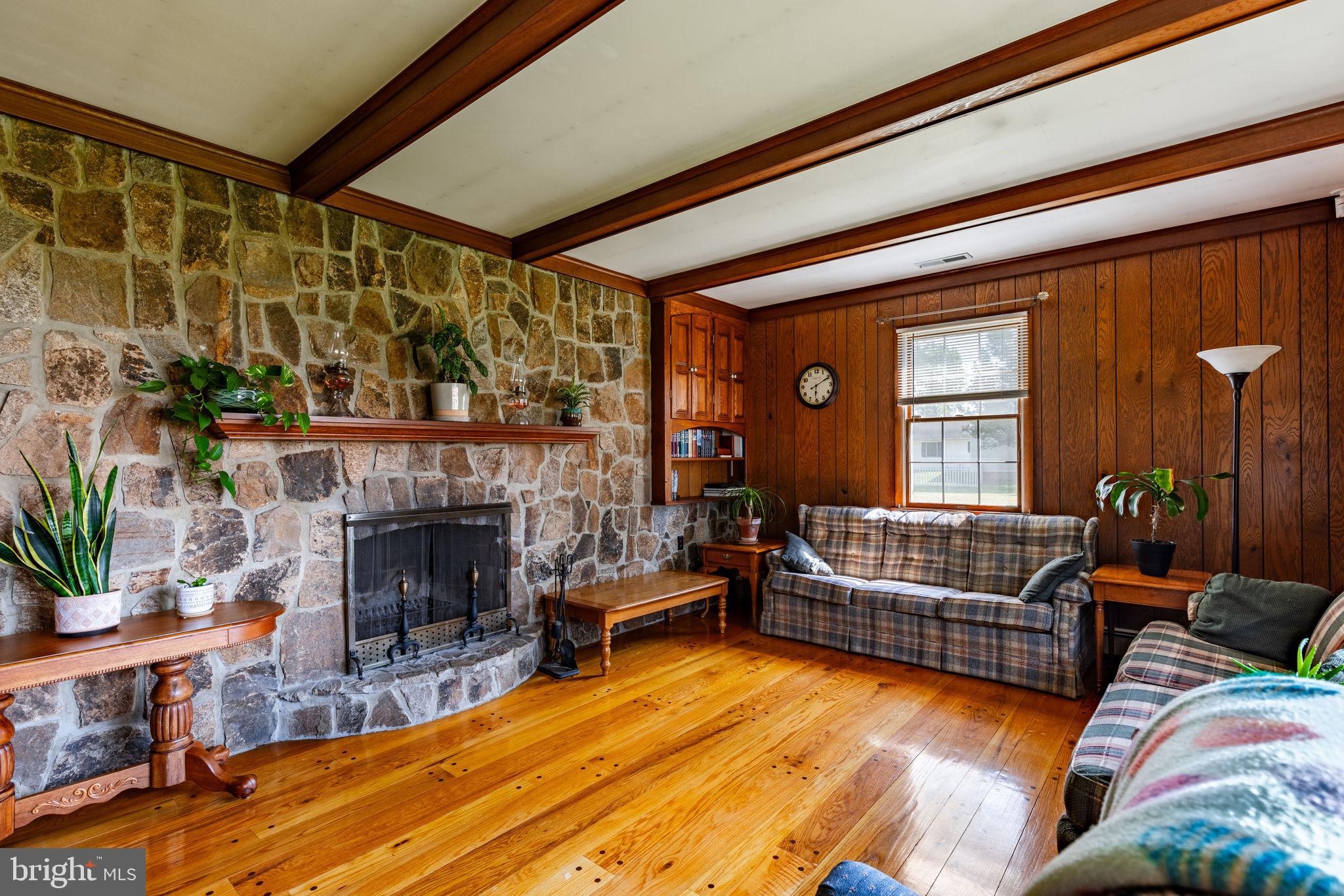 8435 Mitchell Road Denton, MD 21629 - Photo 14 of 43 Stone fireplace
