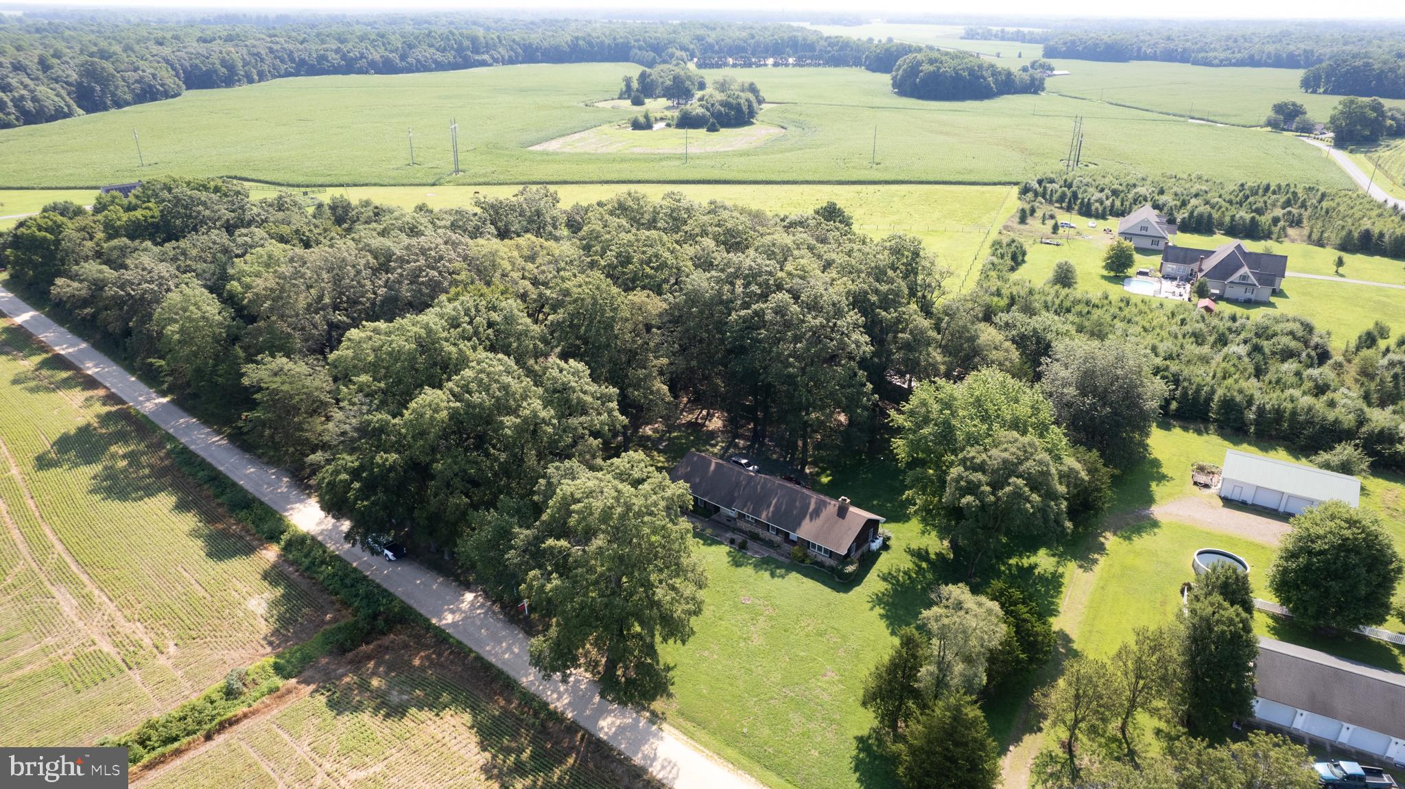 8435 Mitchell Road Denton, MD 21629 - Photo 41 of 43