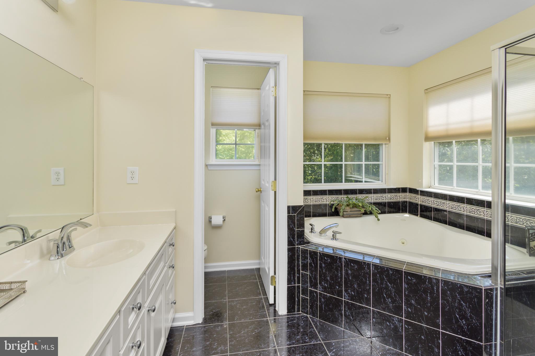 59 Birmingham Drive Columbus, NJ 08022 - Photo 29 of 45 a bathroom with a tub a sink a mirror and a shower