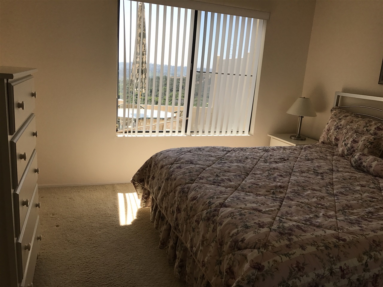 245 Fairlee Lane Encinitas, CA 92024 - Photo 8 of 9