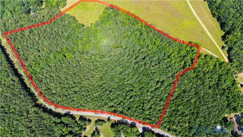 a picture of flowers