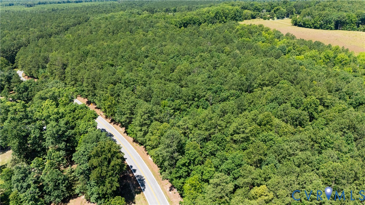 20118 River Road Chesterfield, VA 23838 - Photo 3 of 8 a view of a lush green forest with a tree