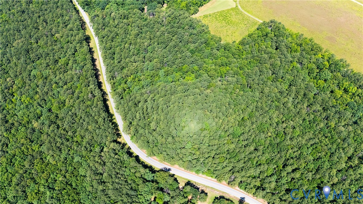 20118 River Road Chesterfield, VA 23838 - Photo 4 of 8 a close up of a plant in a garden