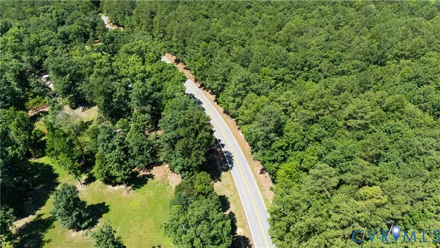 a view of a yard with plants