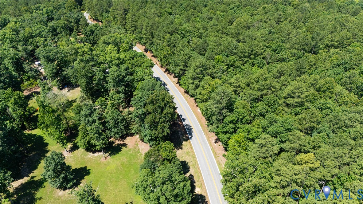 20118 River Road Chesterfield, VA 23838 - Photo 5 of 8 a view of a yard with plants
