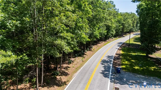 a view of a yard with large trees