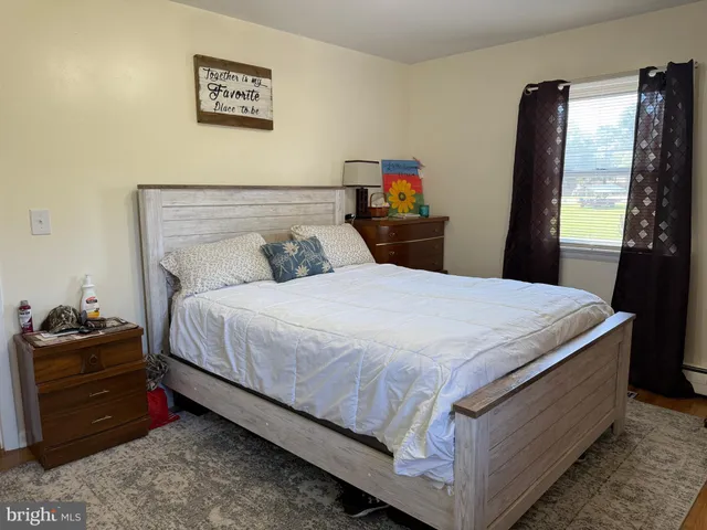 a view of a park with large trees