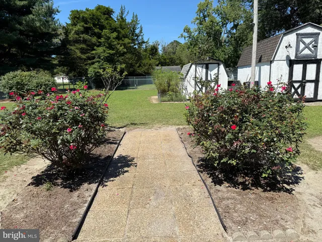 a view of a garden with an outdoor space