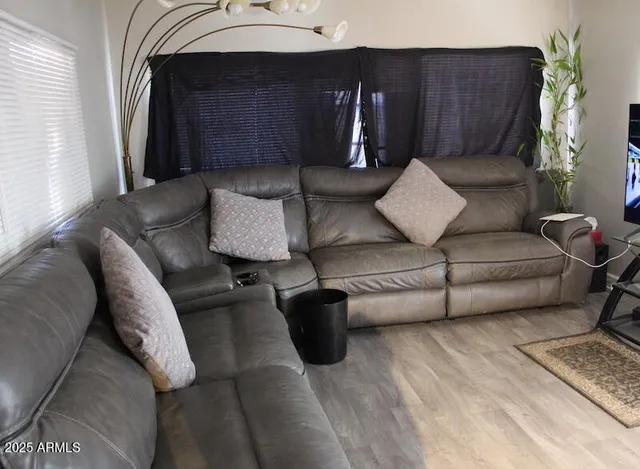 a living room with furniture and a potted plant