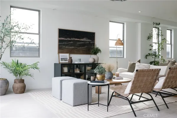 a living room with furniture and a potted plant