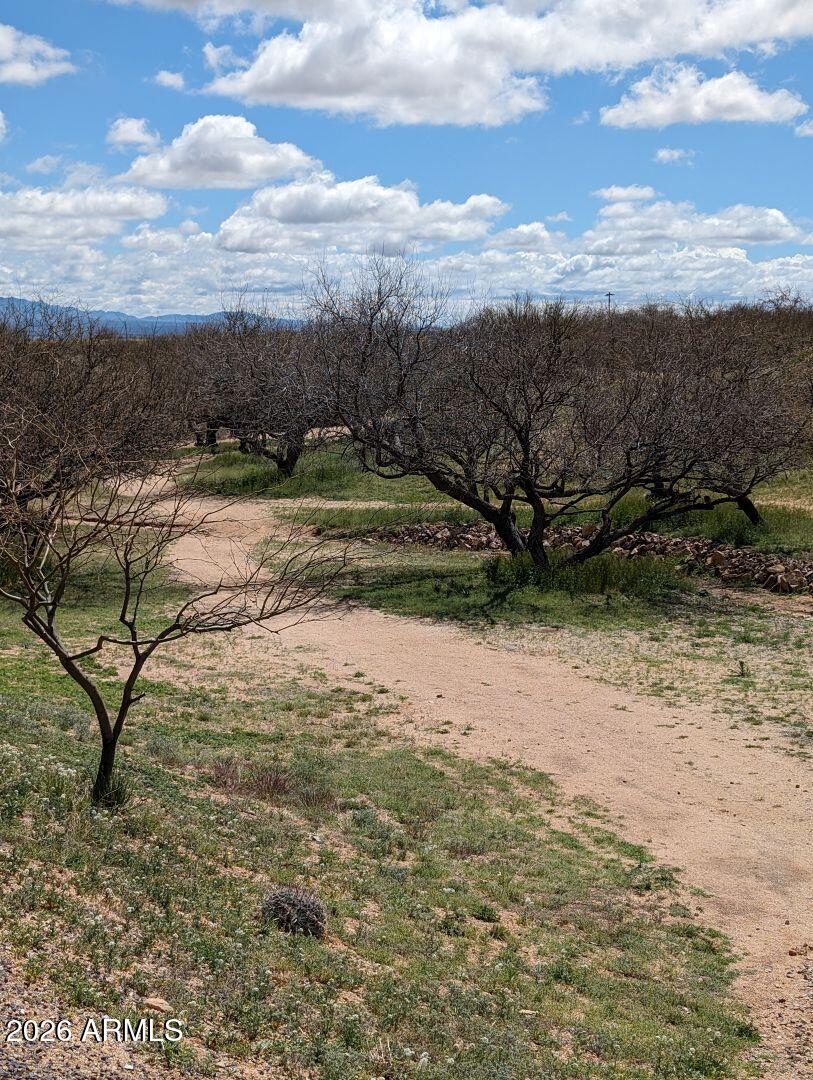 1030 Barrel Cactus Ridge, Unit 225 Benson, AZ 85602 - Photo 8 of 15 a view of a yard with wooden fence