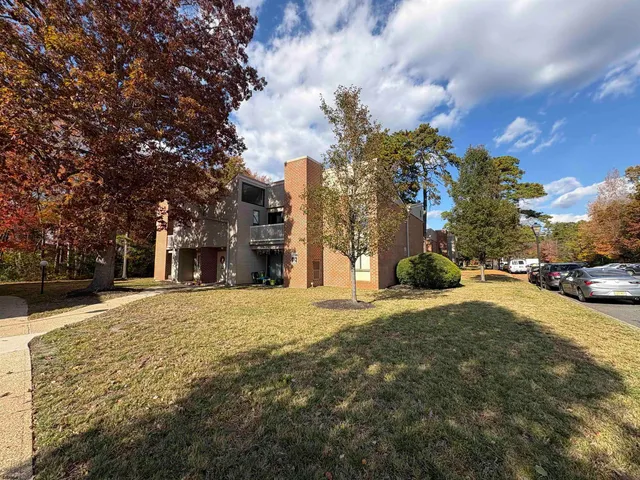 a view of road with large trees