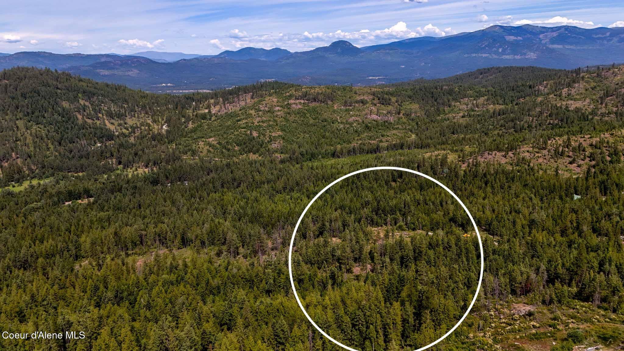 911 Otts Road Sagle, ID 83860 - Photo 8 of 10 8