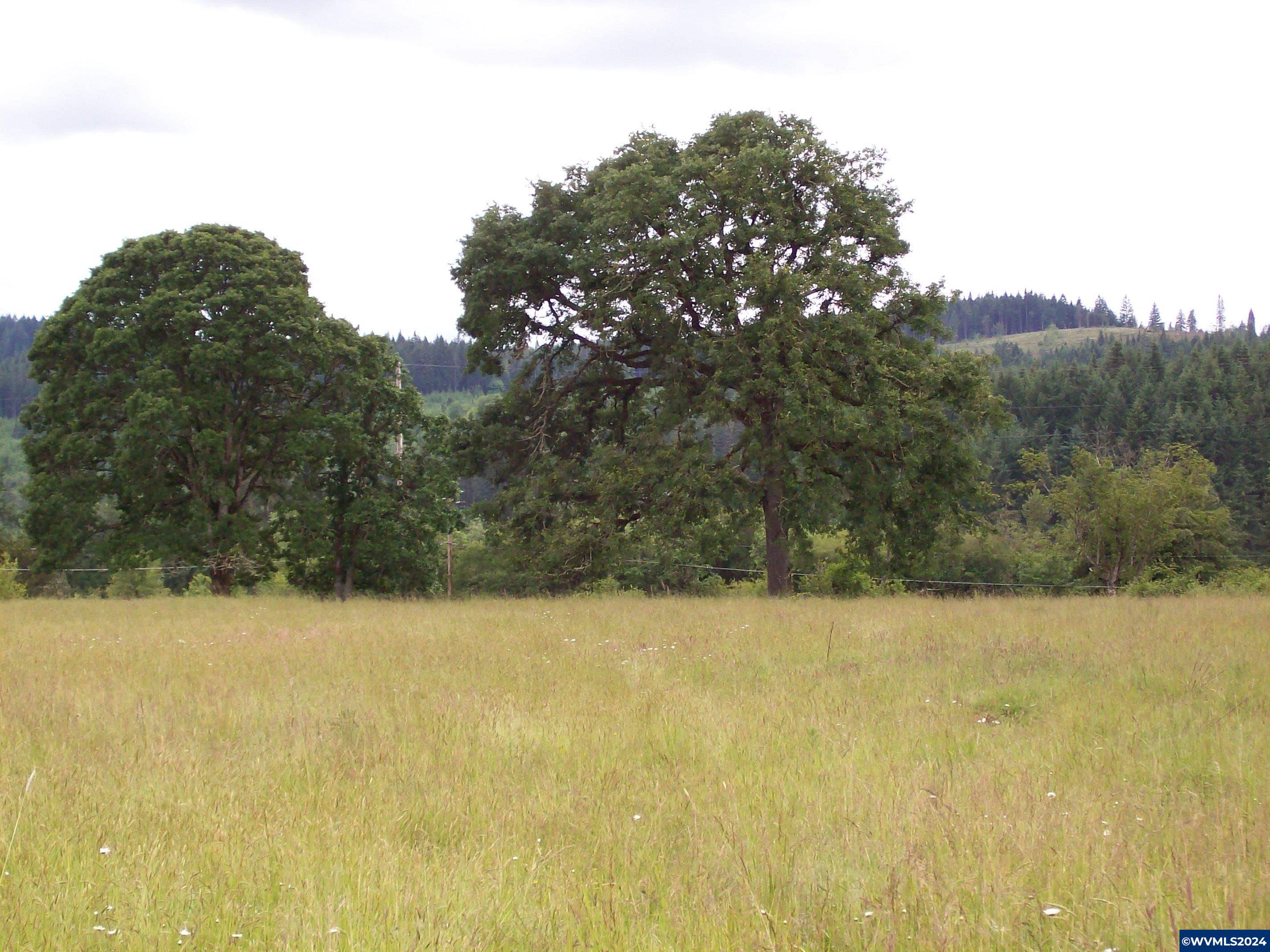 30209 Fairview Road Lebanon, OR 97355 - Photo 25 of 32
