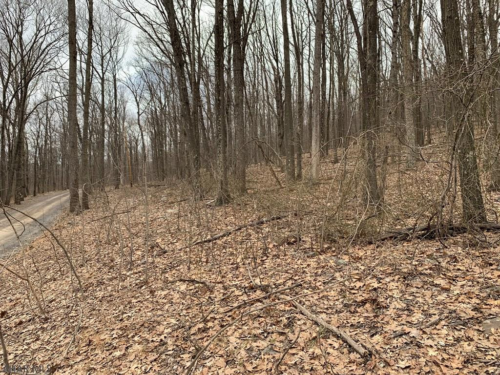 Lot 5 Monroe Mountain Road Clearville, PA 15535 - Photo 3 of 31 Gallery Image 3