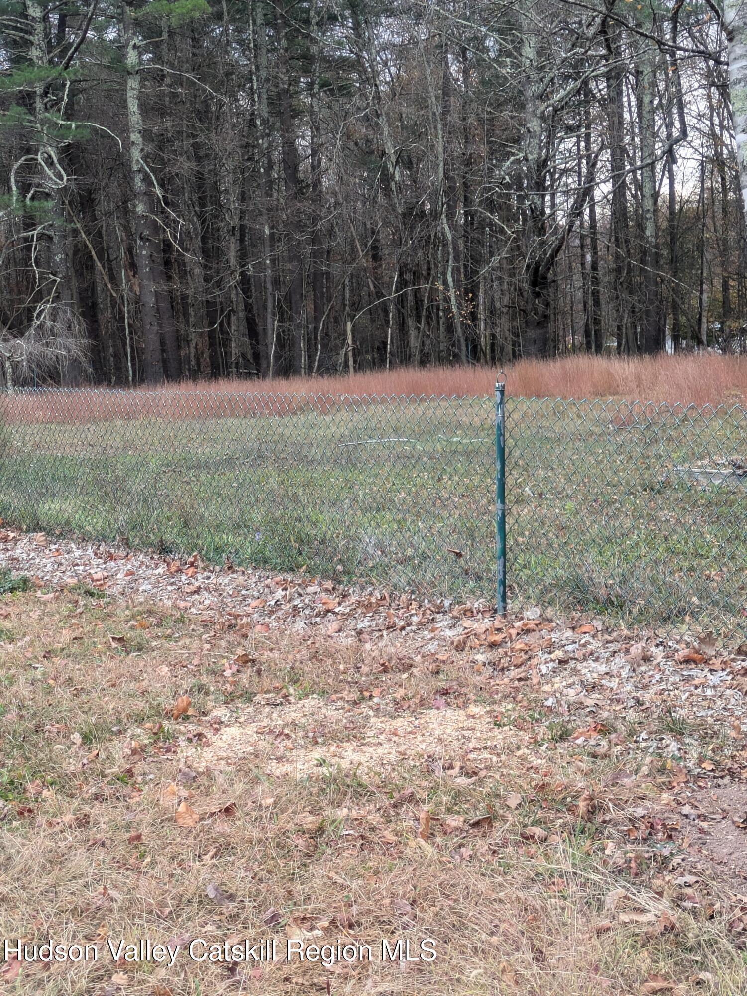 15 Valk Road Saugerties, NY 12477 - Photo 3 of 35 a backyard of a house with lots of green space