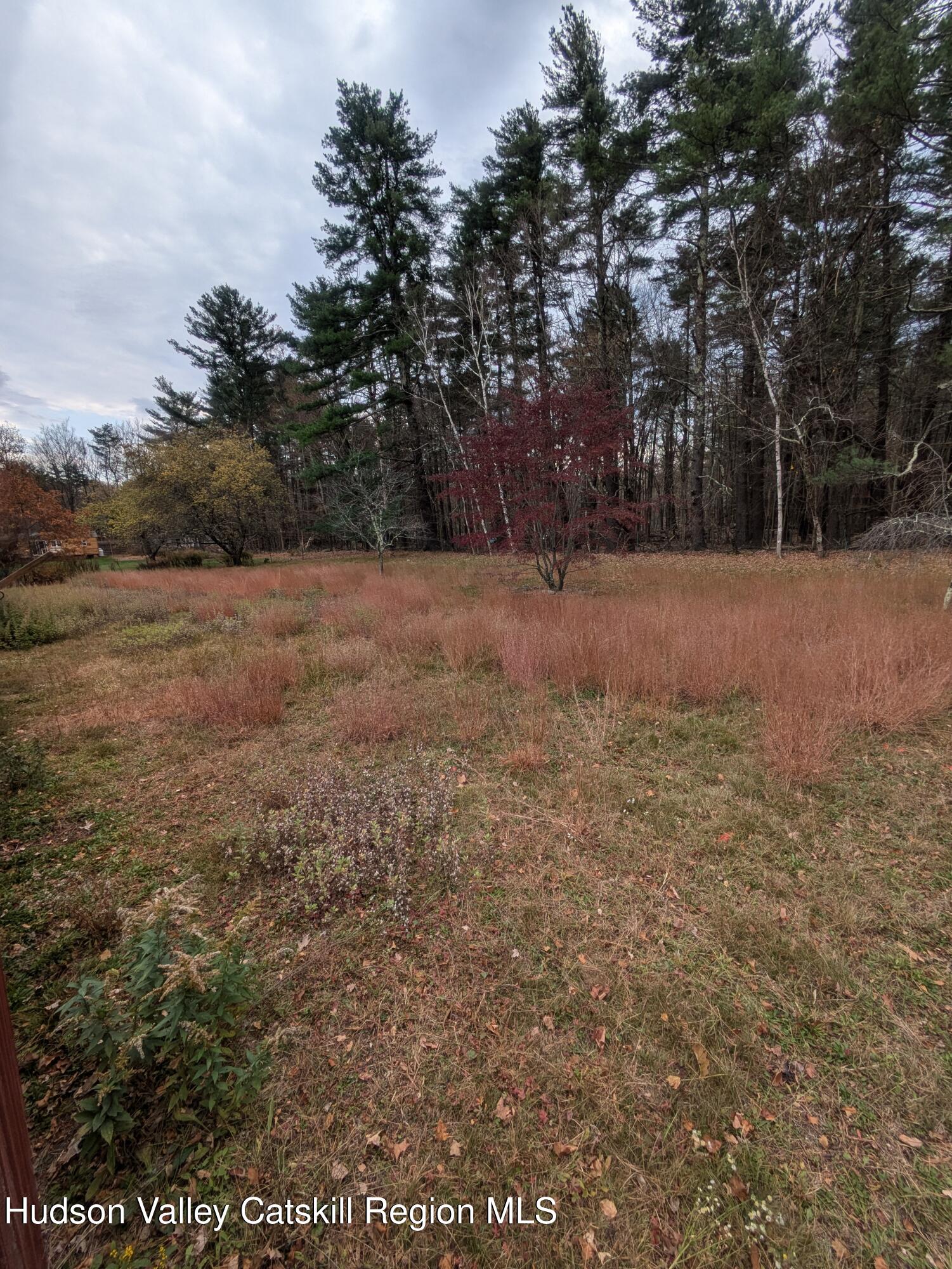 15 Valk Road Saugerties, NY 12477 - Photo 7 of 35 a view of large yard with green space