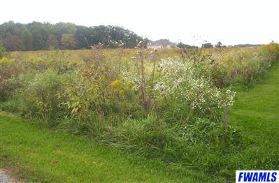14427 Leesburg Road Fort Wayne, IN 46818 - Photo 3 of 4