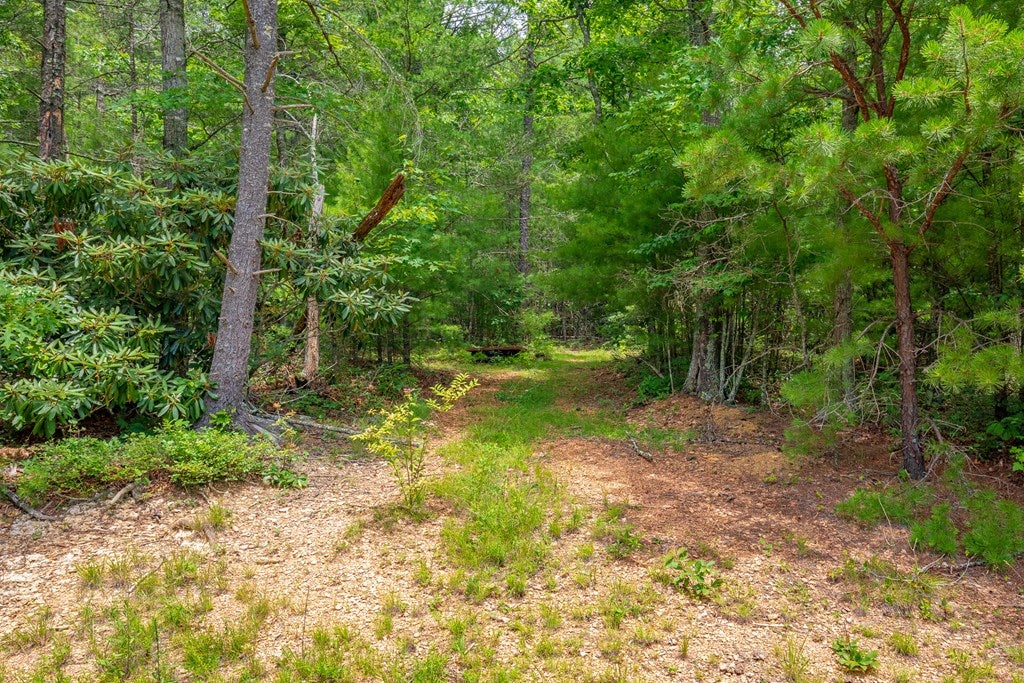 474 Scratch Gravel Road, Unit 96 Ivanhoe, VA 24350 - Photo 56 of 75 Gallery Image 56