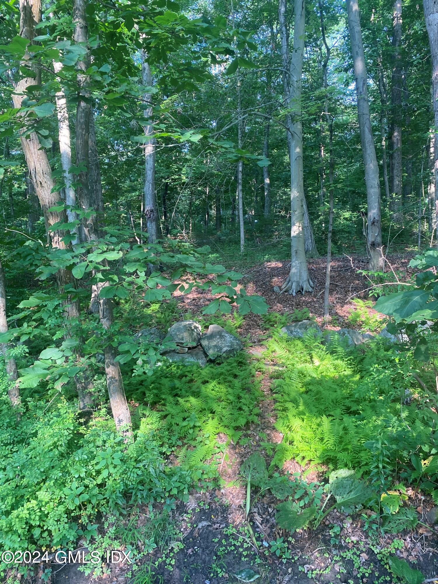 0 Highland Farm Road Greenwich, CT 06831 - Photo 4 of 7 a view of a lush green forest