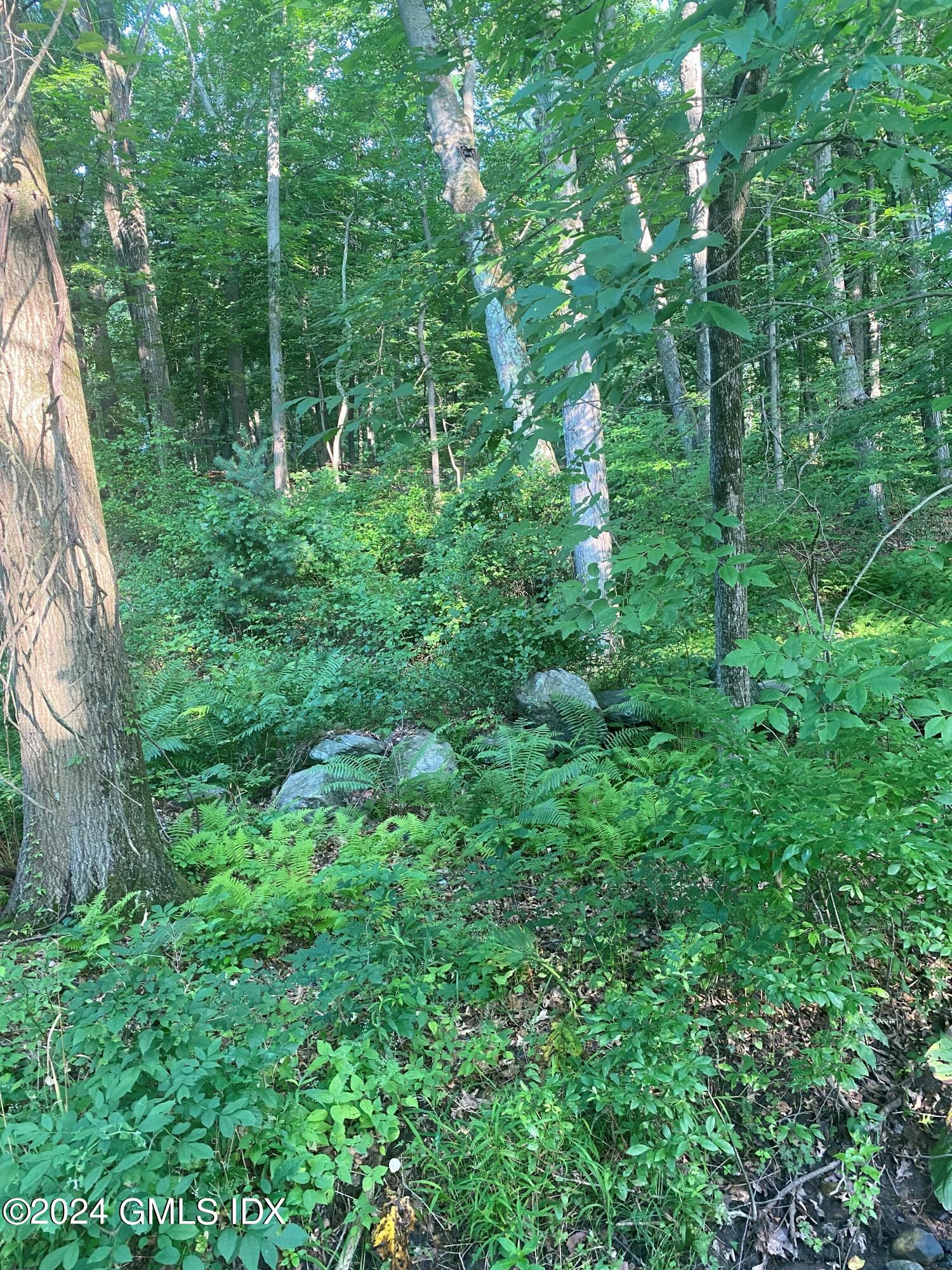 0 Highland Farm Road Greenwich, CT 06831 - Photo 5 of 7 a view of lush green forest