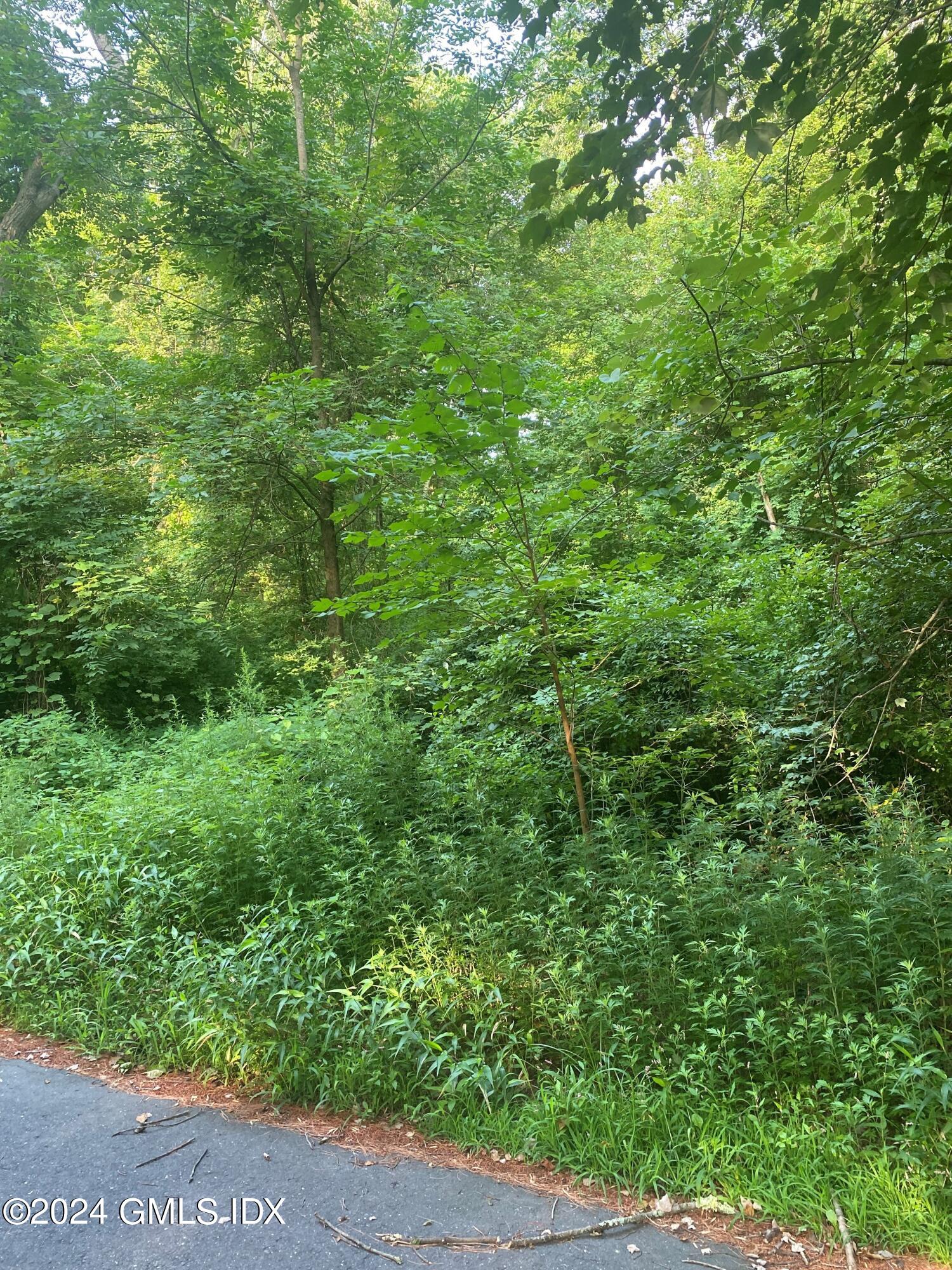 0 Highland Farm Road Greenwich, CT 06831 - Photo 6 of 7 a view of a yard