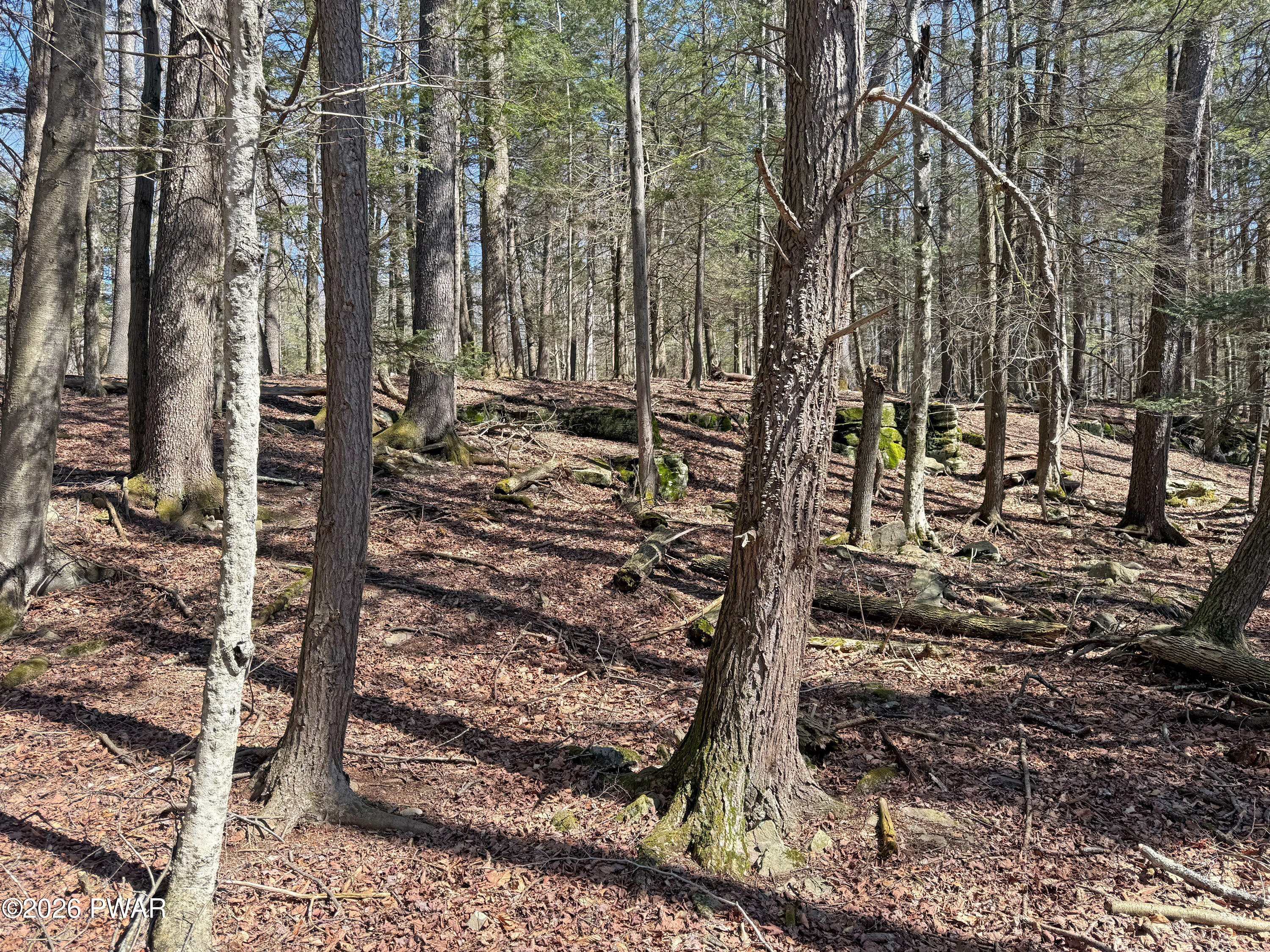 924-927 Hibernation Road Lake Ariel, PA 18436 - Photo 15 of 31