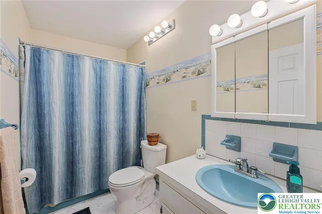 a bathroom with a sink a toilet a mirror and shower curtain